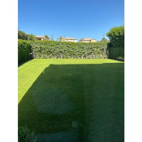 Marassi Blanca 3BR Garden view, photo 8
