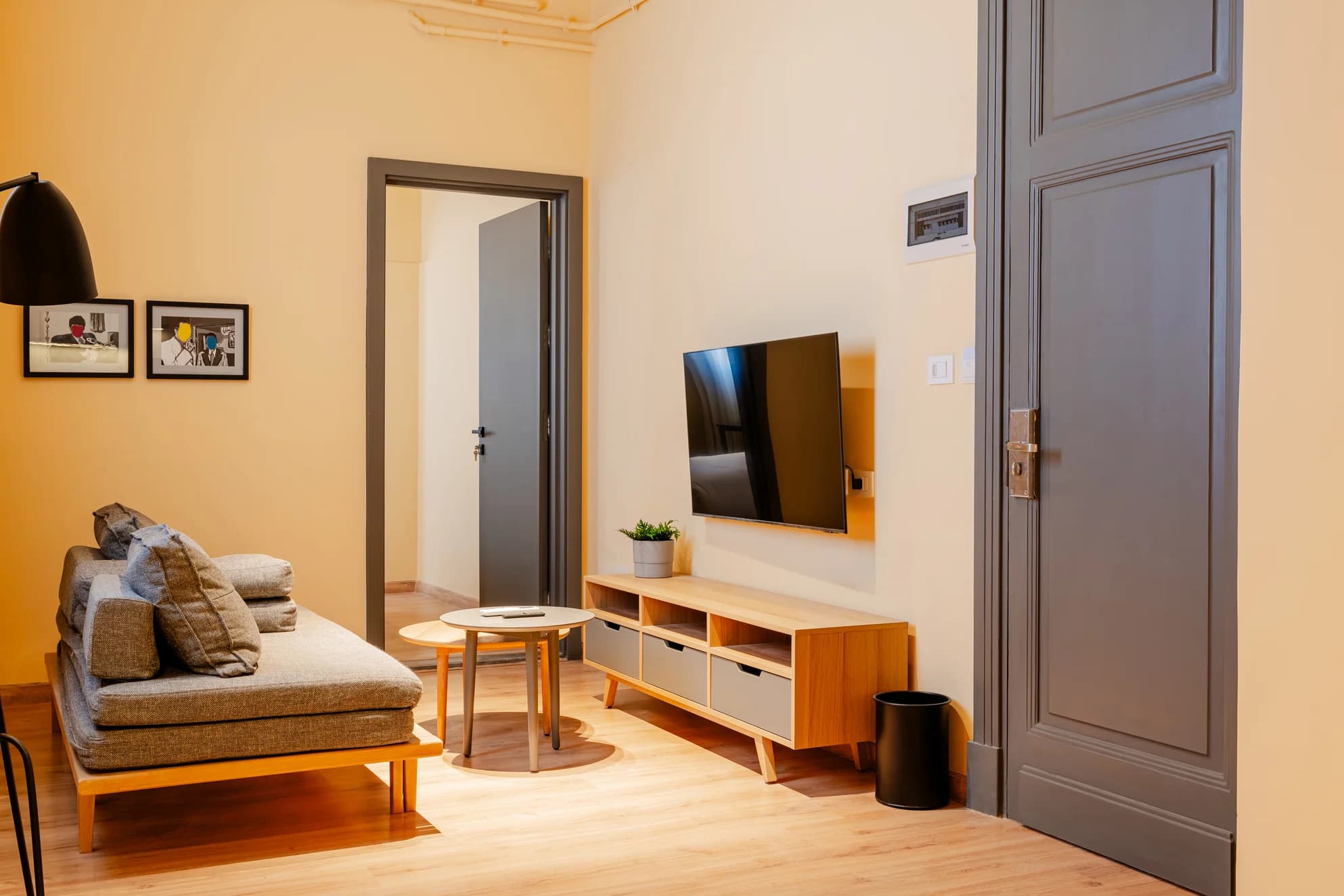 One Bedroom Apartment, photo 4